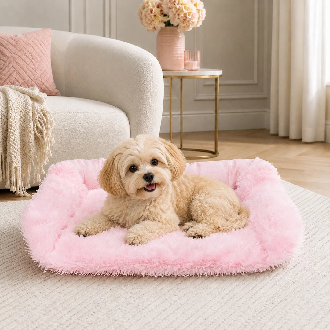 Animals Matter Faux Fur Shag Sydney Companion-Pedic Pink luxury orthopedic dog bed in a soft living room, featuring a small Companion on a plush pink faux fur bed.