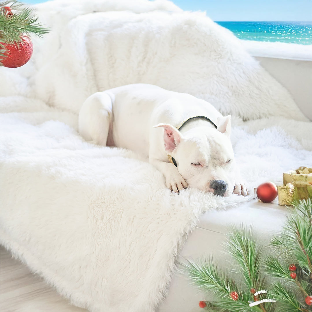 The Animals Matter Roxy Luxury Faux Fur Waterproof Dog Blanket Winter