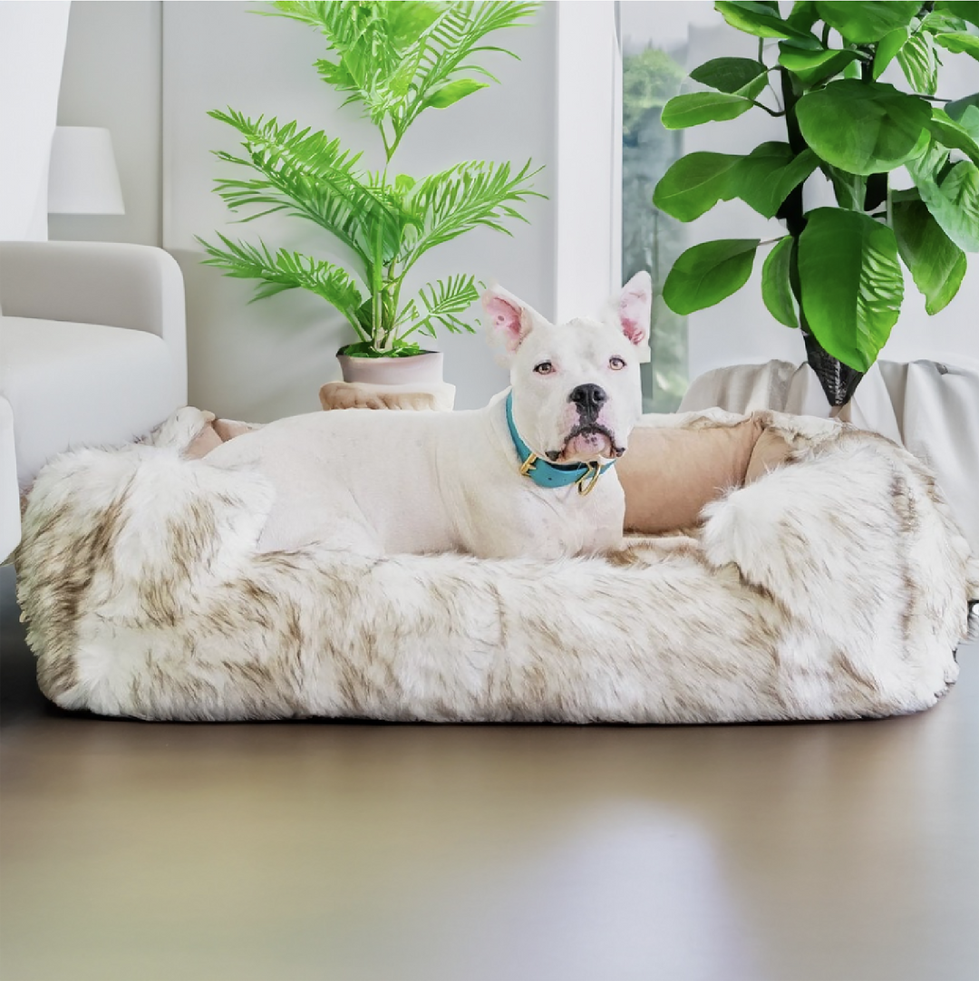 Faux Fur Shag Lounger™ Companion-Pedic® Luxury Dog Bed - Animals Matter, Inc.