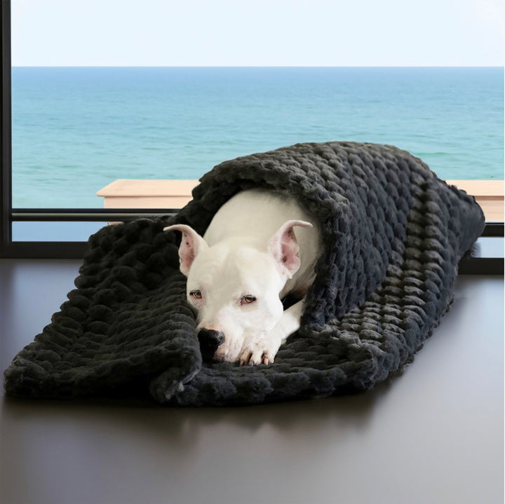 A picture of Hudson resting on the New Animals Matter Katie Puff Encore, Luxury Dog Blanket.