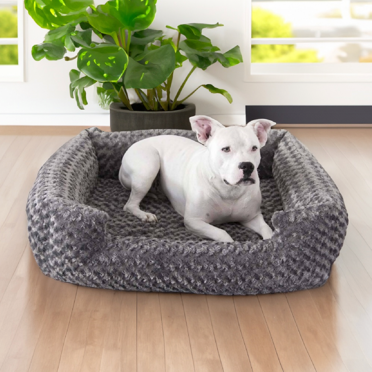 Puffy Dog Bed