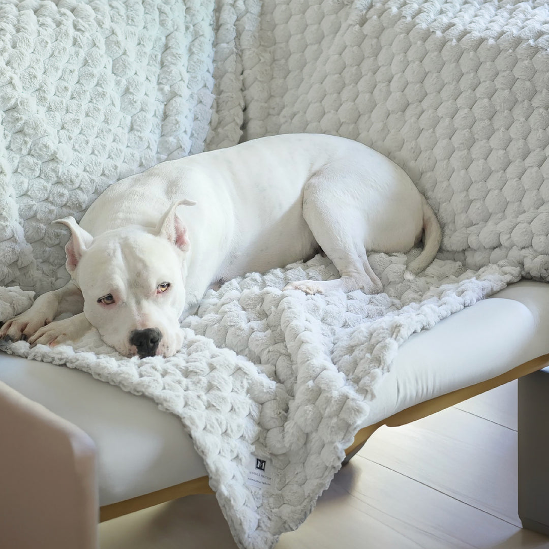 Animals Matter Katie Puff Encore Luxury Dog Blanket in color Pearl Gray.