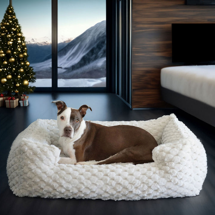 Ruby laying in his New Katie Puff® Encore Companion-Pedic® Ortho Lounger Orthopedic Luxury Dog Bed