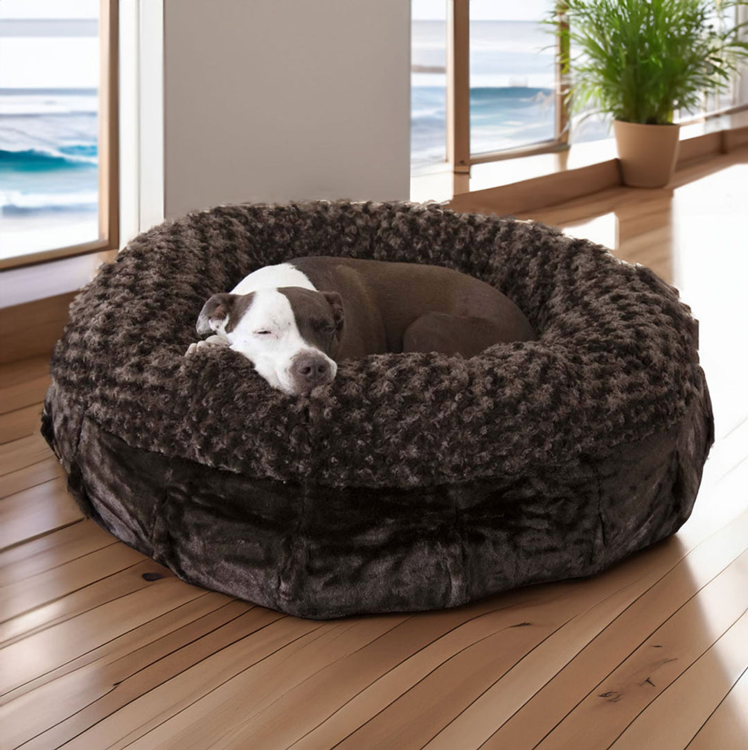 Ruby laying on the Katie Puff® Ortho Companion-Pedic® Luxury Dog Bed - Animals Matter, Inc. in Chocolate 