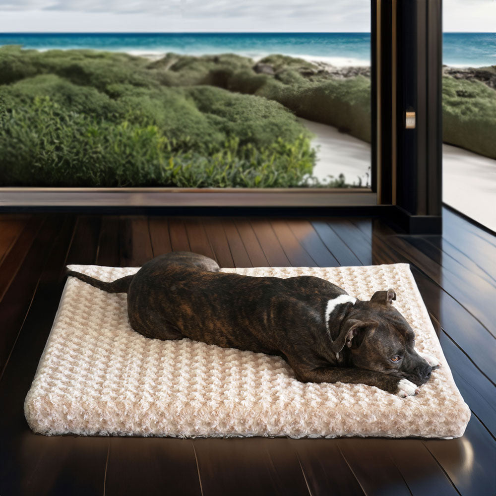 Animals Matter Katie Ortho Rectangle Companion-Pedic Orthopedic Luxury Dog Bed