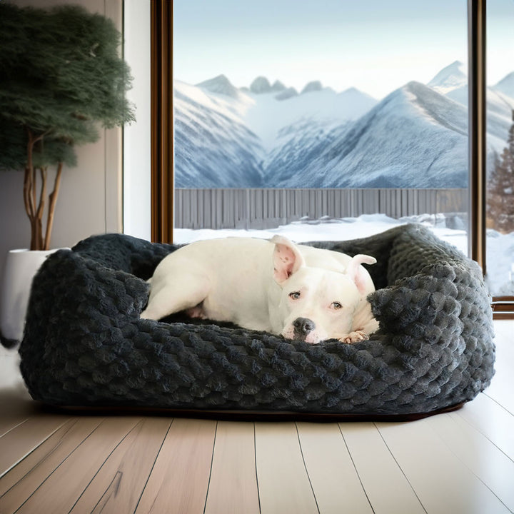 New: Katie Puff® Encore Companion-Pedic® Ortho Lounger Orthopedic Luxury Dog Bed
