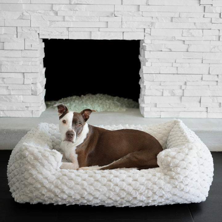 Ruby laying in his New Katie Puff® Encore Companion-Pedic® Ortho Lounger Orthopedic Luxury Dog Bed