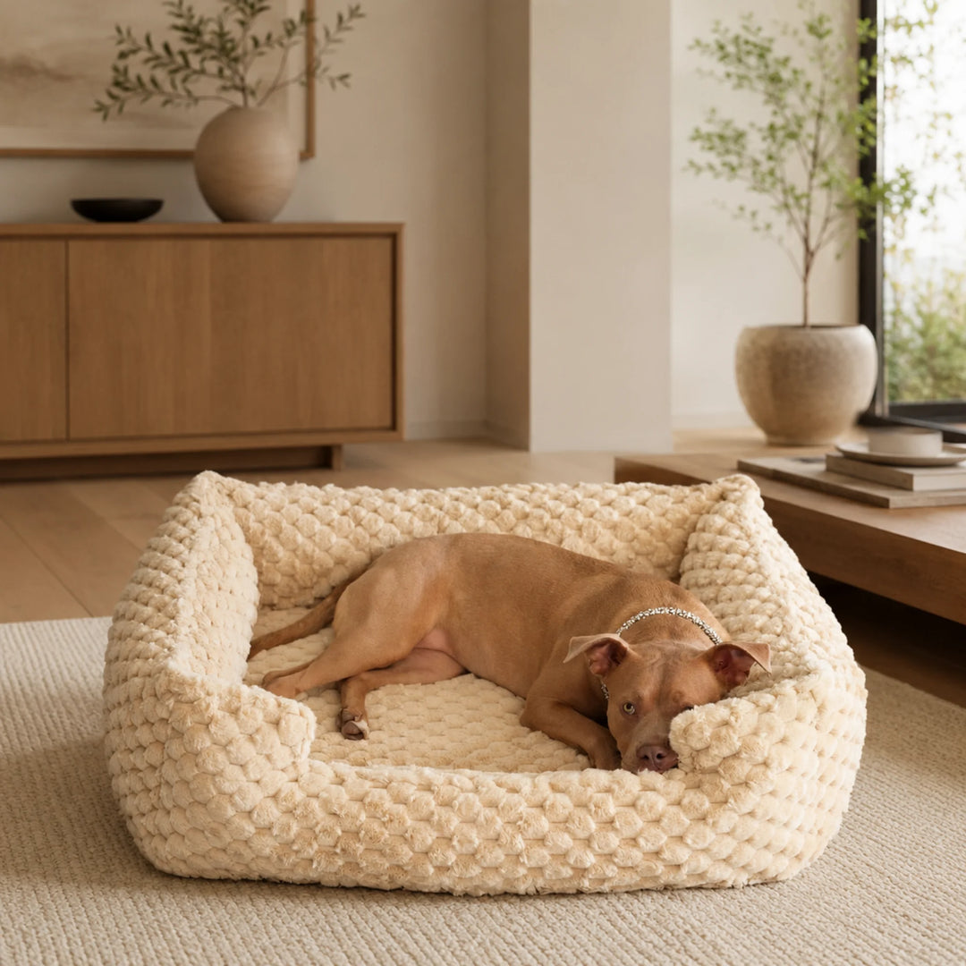 Animals Matter Katie Encore Ortho Lounger luxury orthopedic dog bed in camel, featuring a tan Companion resting in a warm neutral living room.