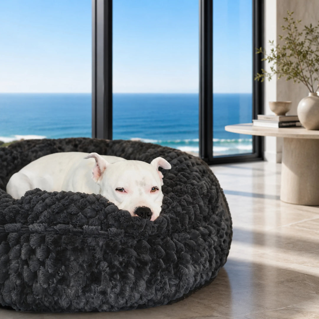 Katie プードルティペット♡ Katie Puff® Ortho Companion-Pedic® Luxury Dog Bed