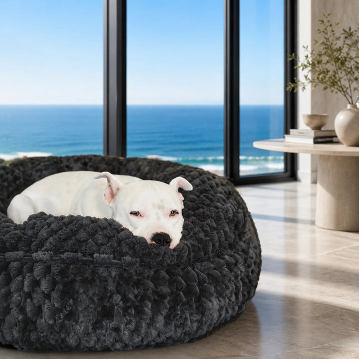 Animals Matter Katie Encore Ortho Puff luxury orthopedic dog bed in charcoal, with a white dog nestled in plush faux fur against an ocean-view backdrop.