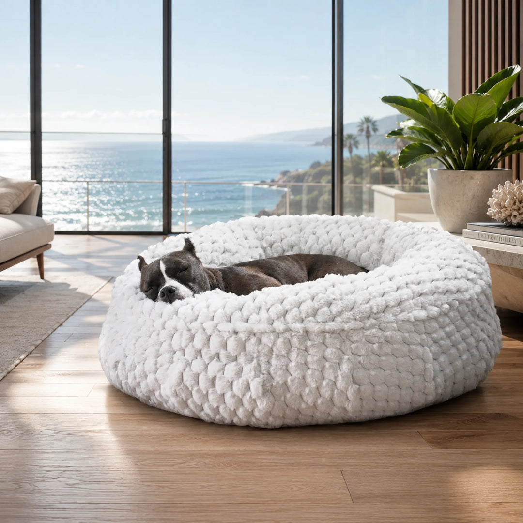 Animals Matter Katie Encore Ortho Puff luxury orthopedic dog bed in pearl gray, with a black-and-white dog resting in a coastal ocean-view room.