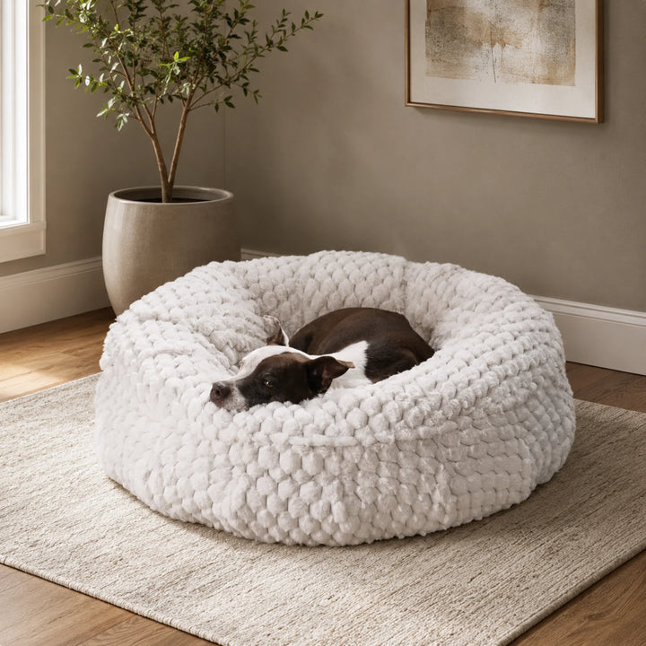 Animals Matter Katie Encore Ortho Puff luxury orthopedic dog bed in pearl gray, featuring a brown-and-white dog curled inside a plush round bed in a neutral home.