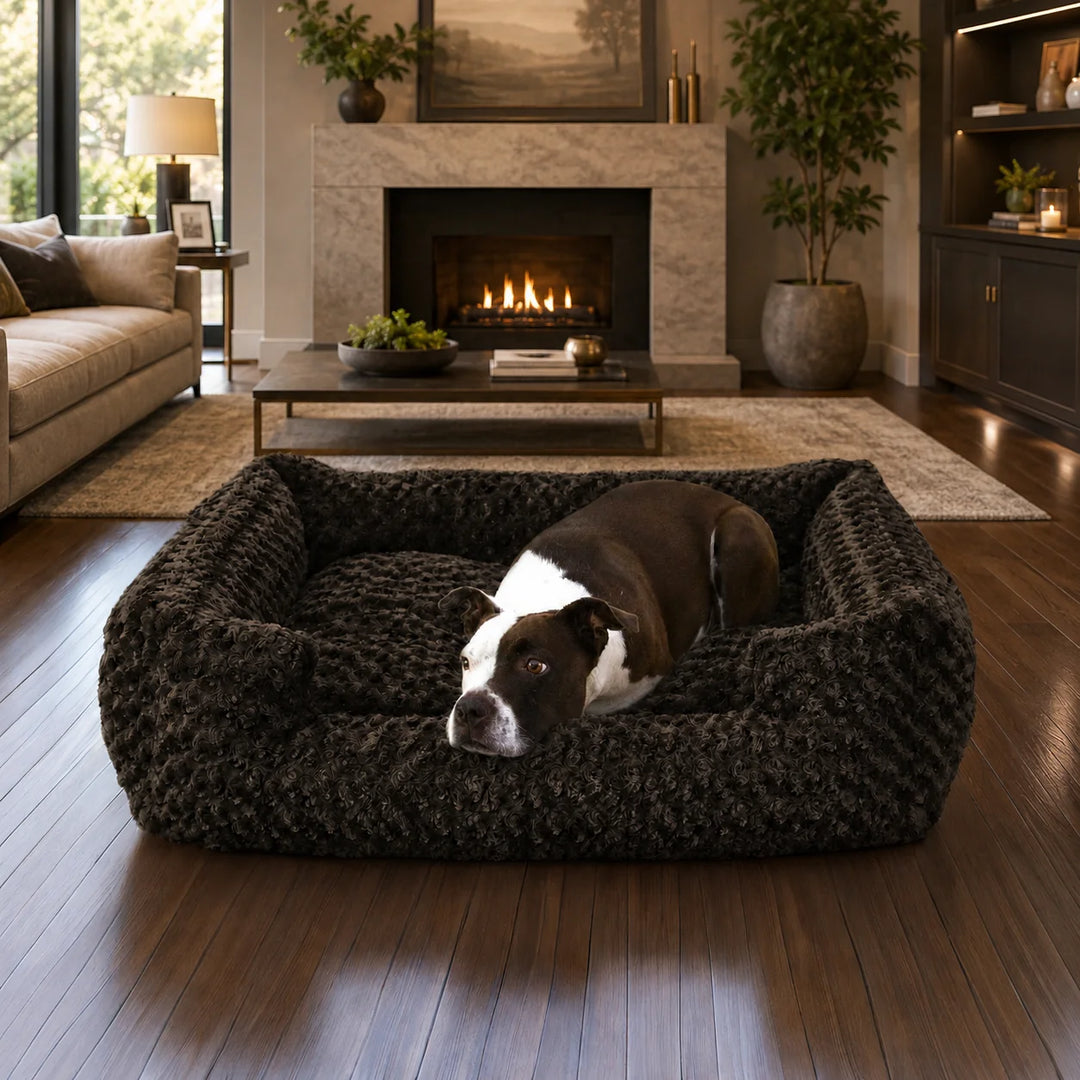 Animals Matter Katie Ortho Lounger luxury orthopedic dog bed in a warm living room by the fireplace, featuring a dog resting on a plush chocolate lounger.