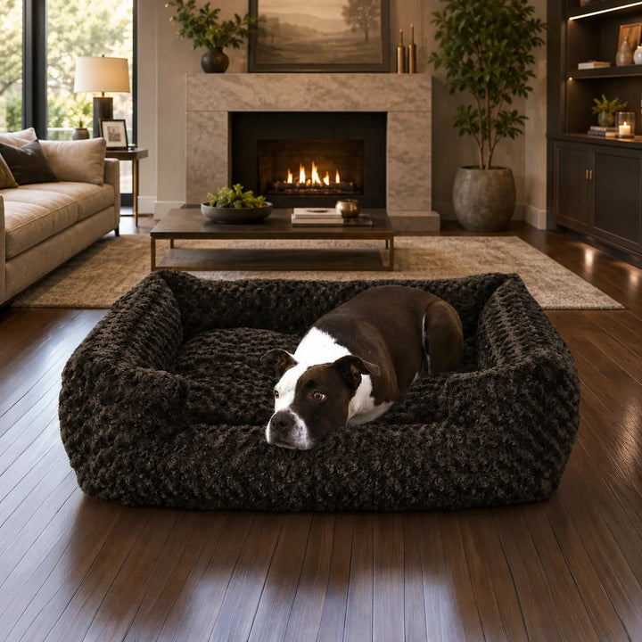 Animals Matter Katie Ortho Lounger luxury orthopedic dog bed in a warm living room by the fireplace, featuring a dog resting on a plush chocolate lounger.
