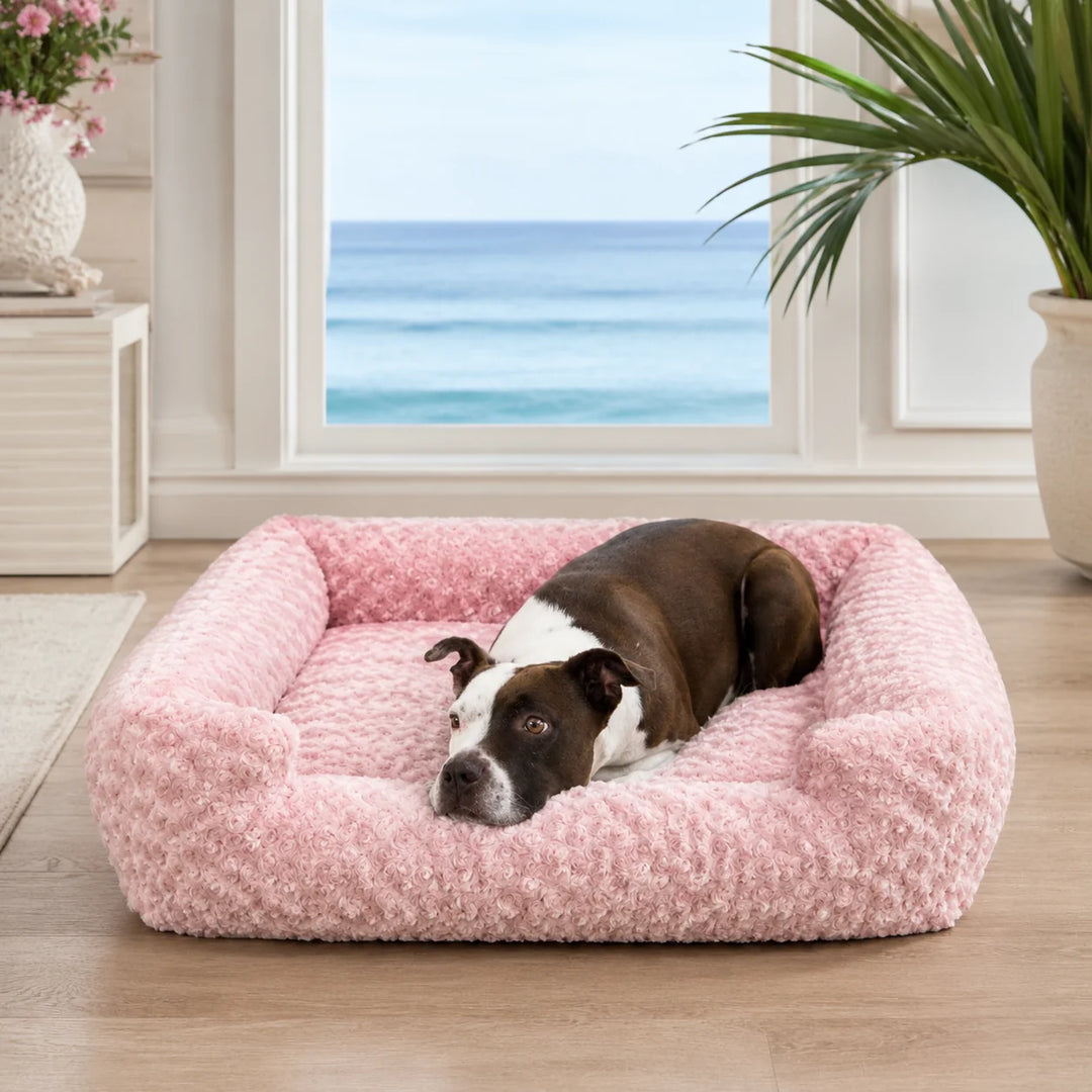 Animals Matter Katie Ortho Lounger luxury orthopedic dog bed in a bright coastal room, featuring a dog resting on a plush pink lounger by an ocean view.