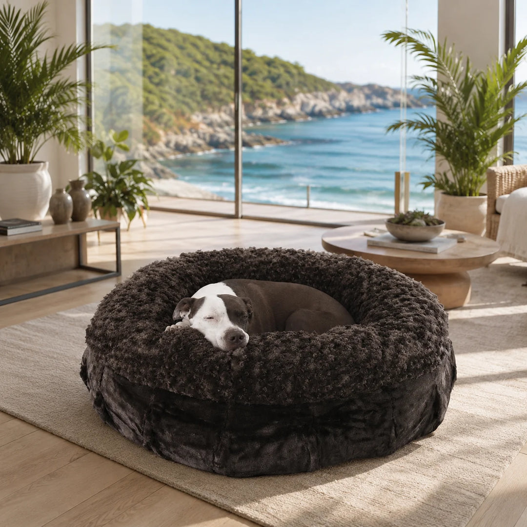 Animals Matter Katie Ortho Puff Chocolate luxury orthopedic dog bed in a coastal living room, featuring a dog resting in a plush dark faux fur bed.