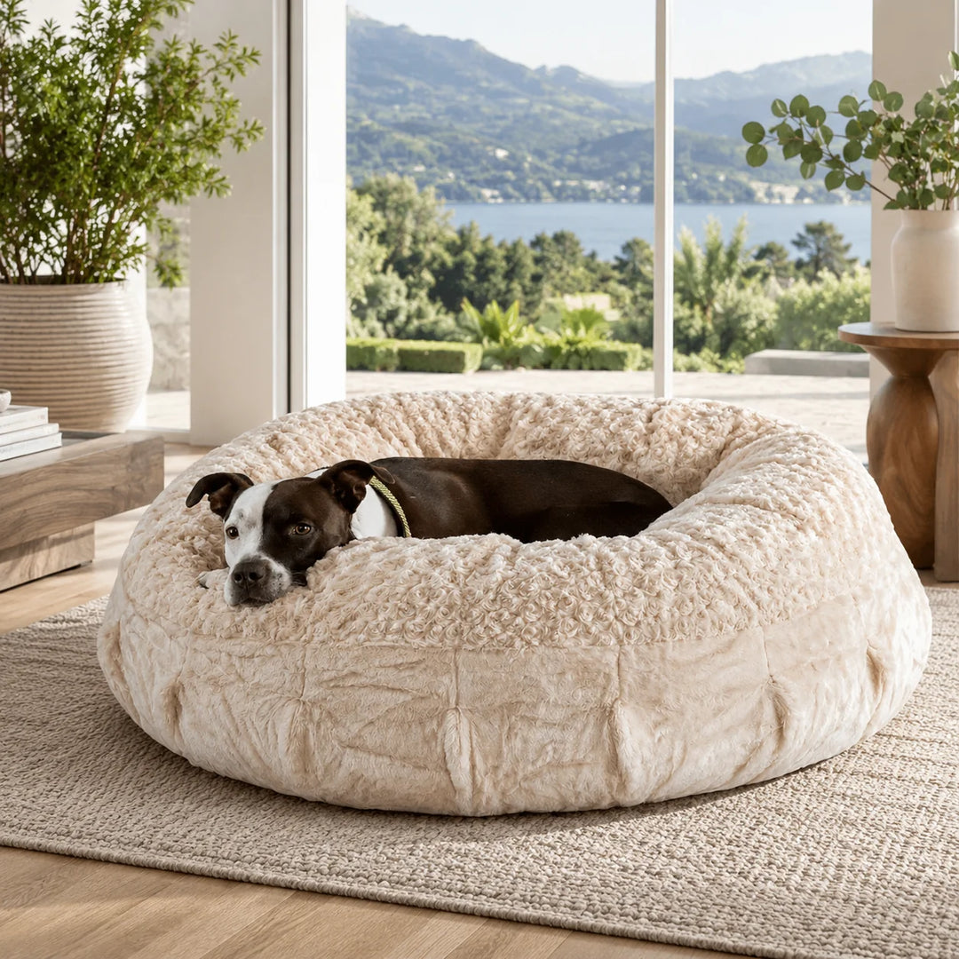 Animals Matter Katie Puff Camel luxury faux fur dog bed in a sunlit living room, featuring a dog resting in a plush cream bed with lake and greenery views.
