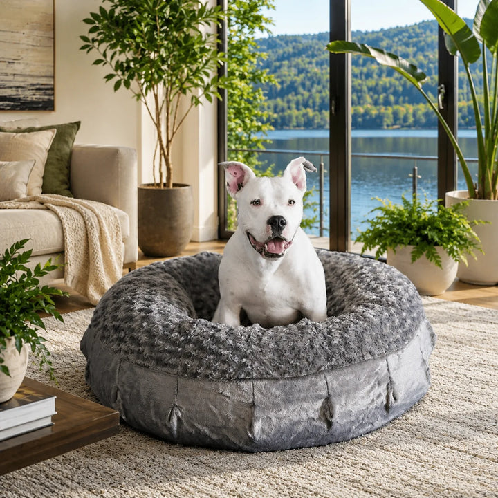 Animals Matter Katie Ortho Puff Luxury Dog Bed in Charcoal, a luxury orthopedic dog bed in a lakeside living room with a white Companion resting inside.