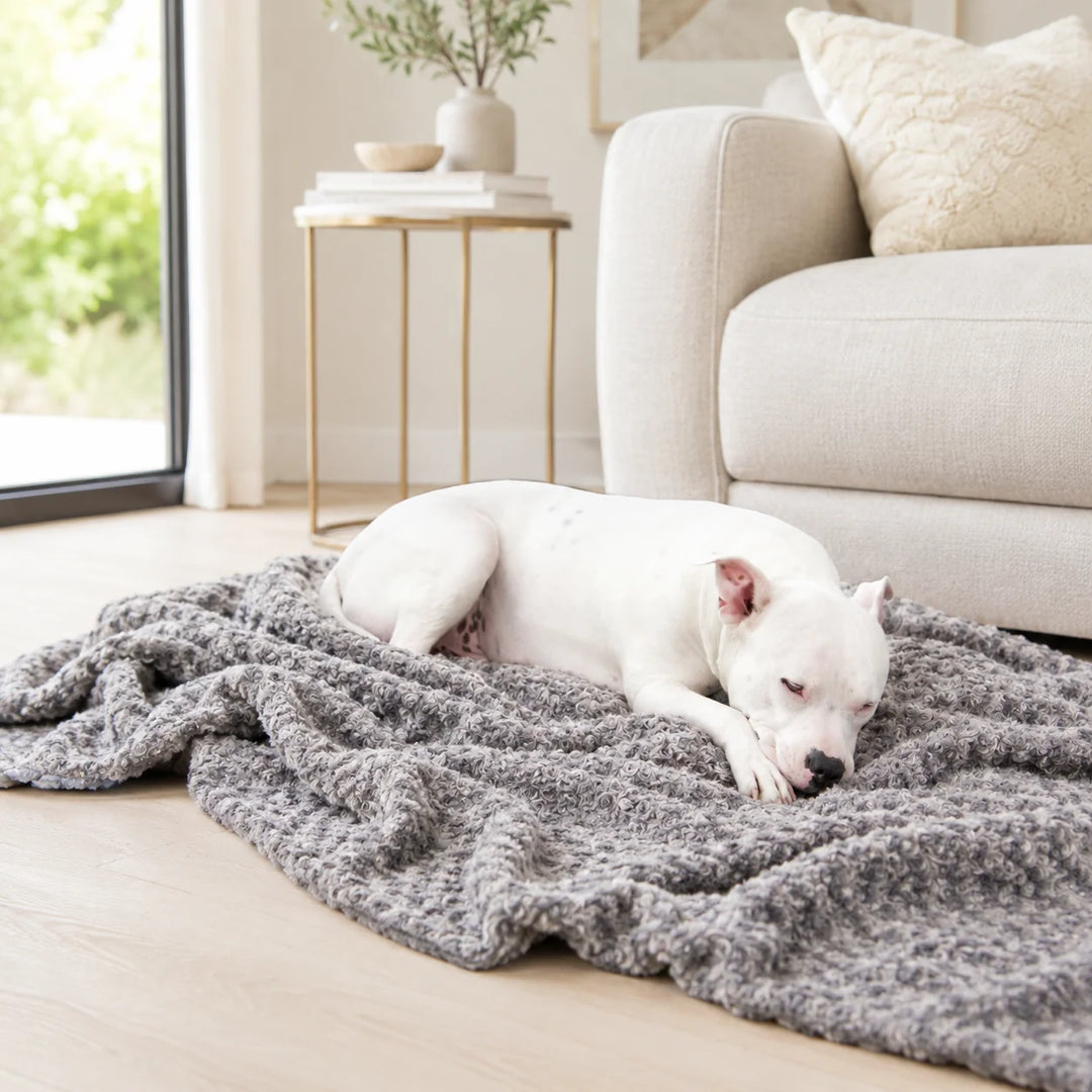 Animals Matter Katie Puff Blanket luxury dog blanket in Charcoal, styled on the floor with a white Companion resting in a soft neutral living space.
