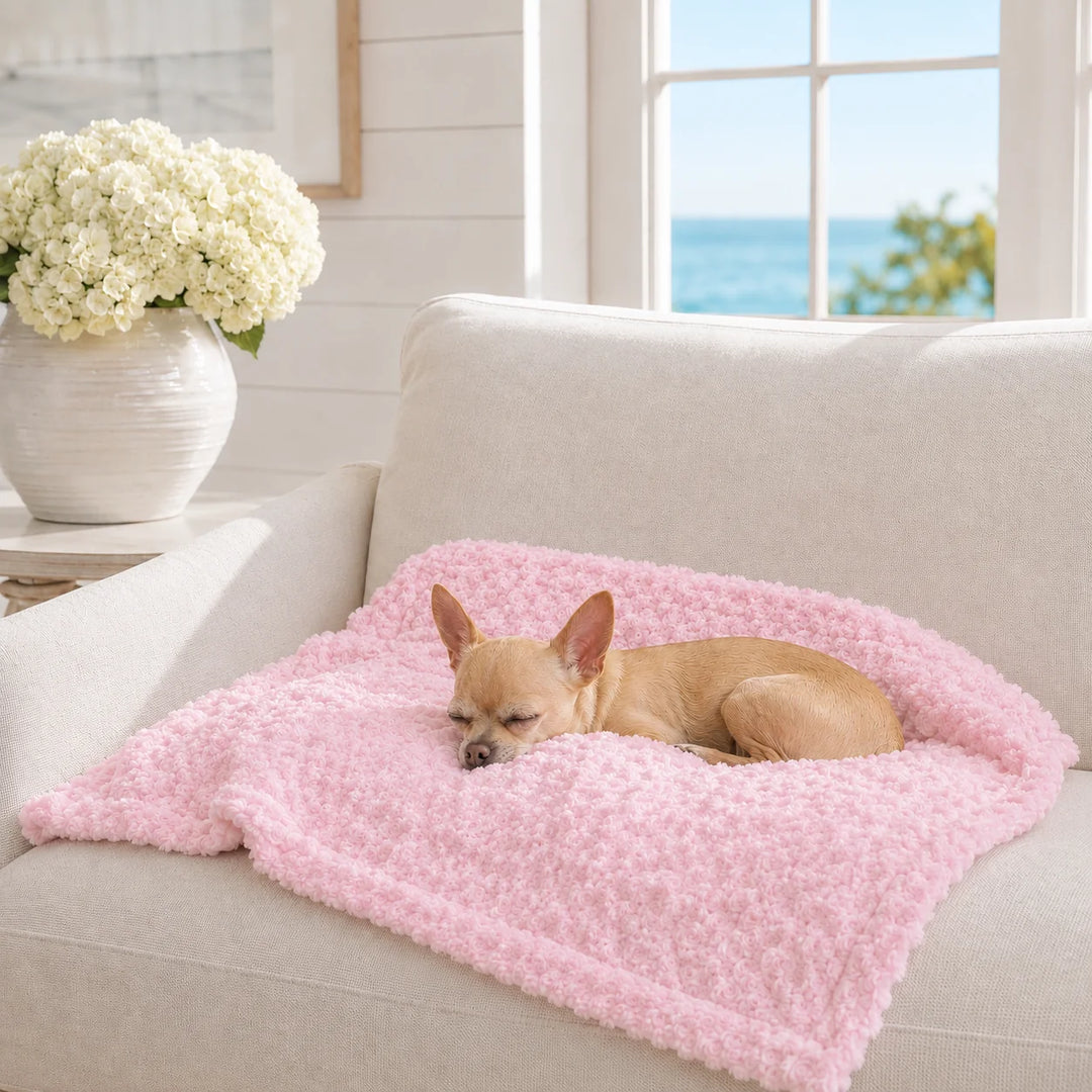 Animals Matter Katie Puff® Blanket in Pink, a plush luxury dog blanket with a sleeping tan Chihuahua on a cream sofa in a bright coastal home.