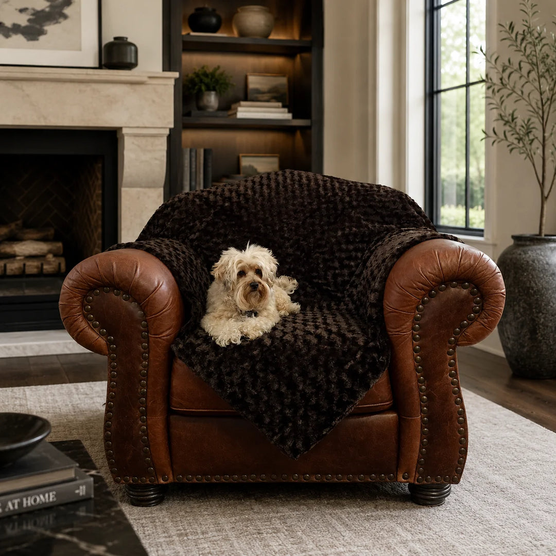 Animals Matter Katie Puff Blanket luxury dog blanket in Chocolate, styled over a leather chair with a small Companion in a warm, elegant living room.