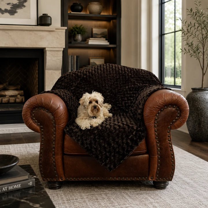 Animals Matter Katie Puff Blanket luxury dog blanket in Chocolate, styled over a leather chair with a small Companion in a warm, elegant living room.