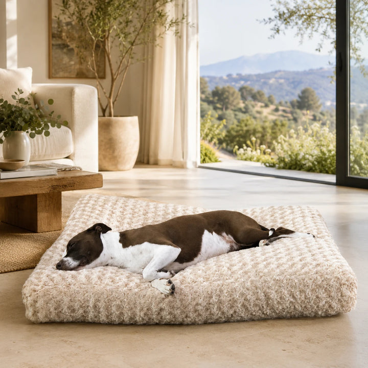 Animals Matter Katie Puff Floor Pillow Camel luxury dog bed in a sunlit living room, featuring a brown and white Companion on a plush camel faux fur bed with mountain views.