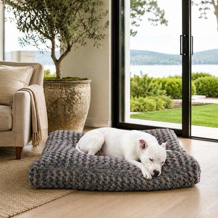 Animals Matter Katie Puff Floor Pillow Charcoal luxury faux fur dog bed in a sunlit living room, featuring a white Companion on a plush charcoal bed with garden and lake views.