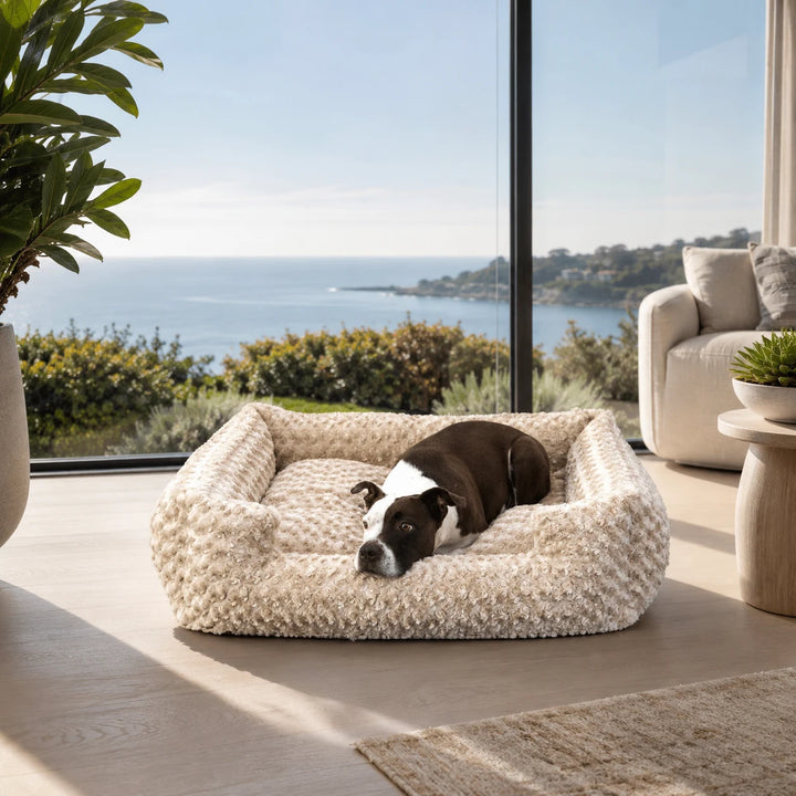 Animals Matter Katie Puff Ortho Lounger Camel luxury orthopedic dog bed in a coastal living room, featuring a brown-and-white dog resting on plush faux fur.