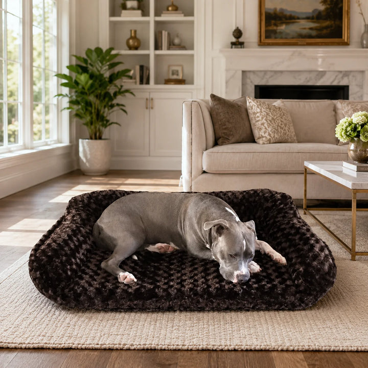 Animals Matter Katie Puff Sydney luxury orthopedic dog bed in Chocolate, featuring a Companion resting in a plush bed in an elegant living room.