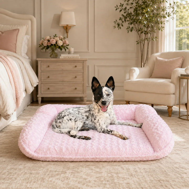 Animals Matter Katie Puff® Sydney™ Ortho Companion-Pedic® Luxury Dog Bed in pink, featuring a cattle dog resting on the plush orthopedic bed in an elegant blush-toned bedroom.