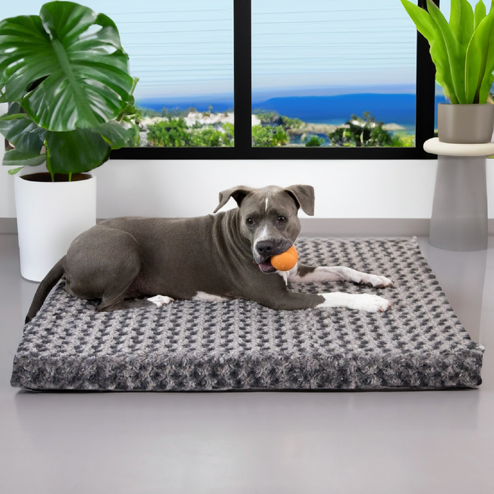 Katie Puff® Ortho Rectangle Companion-Pedic® Luxury Dog Bed - Animals Matter, Inc.