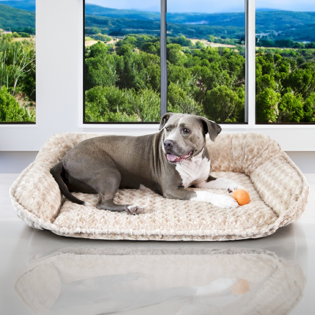 Katie Puff Sydney Ortho Companion Pedic Luxury Dog Bed