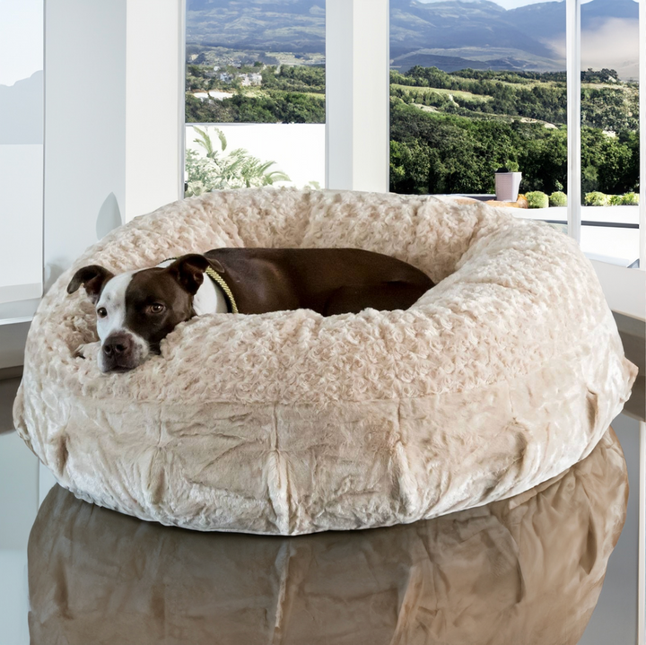 Katie Puff® Ortho Companion-Pedic® Luxury Dog Bed - Animals Matter, Inc.