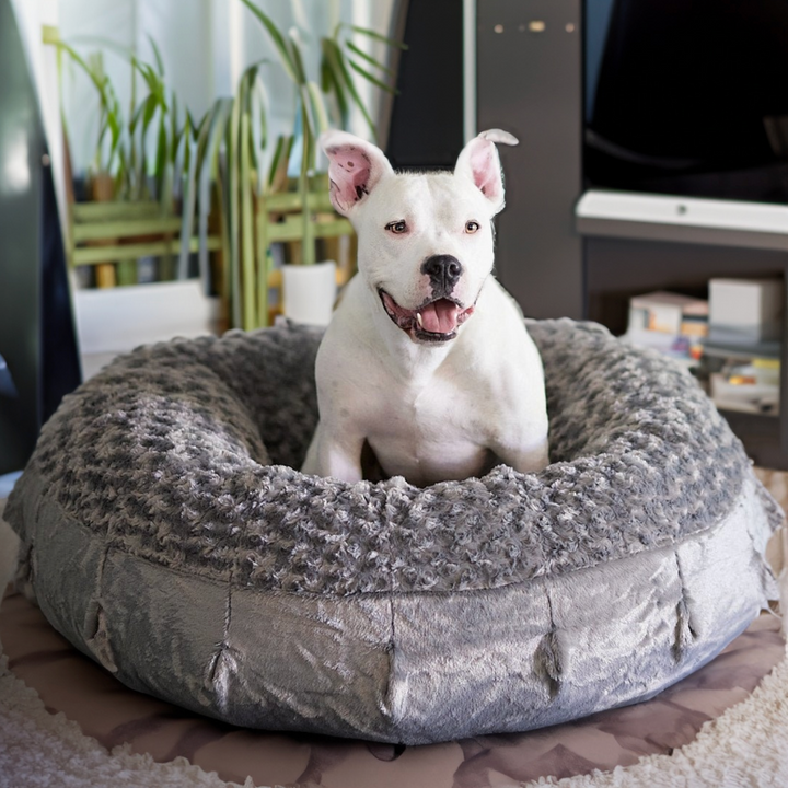 Katie Puff® Ortho Companion-Pedic® Luxury Dog Bed - Animals Matter, Inc.