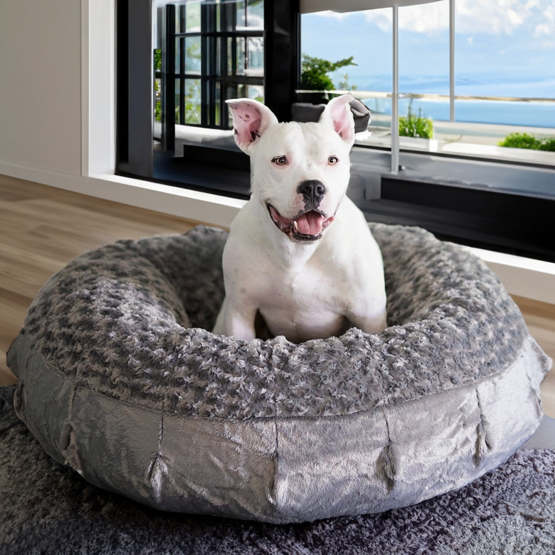 Katie puff dog bed clearance