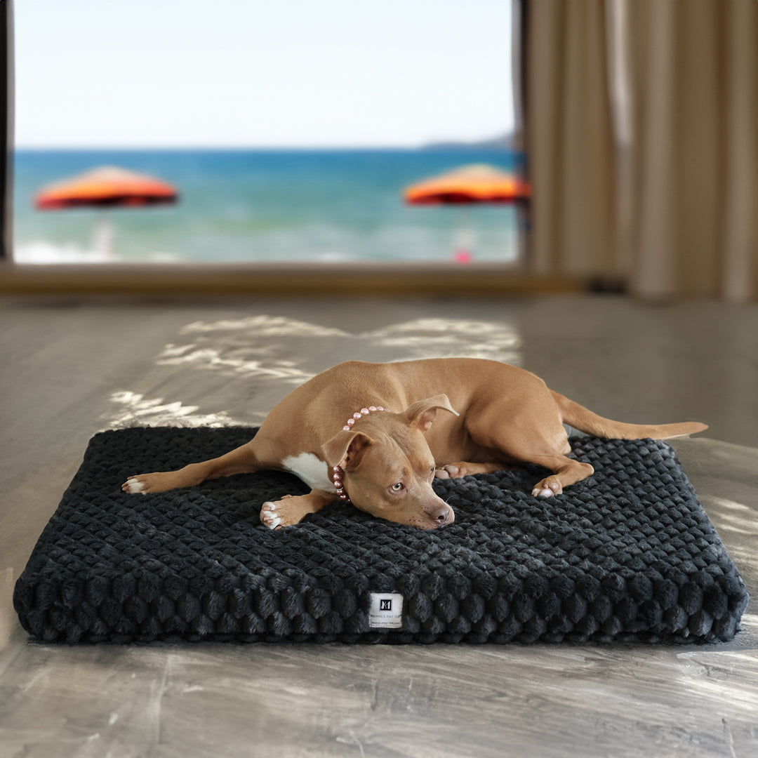 The Animals Matter Katie Puff Encore Ortho Rectangle Luxury Dog Bed