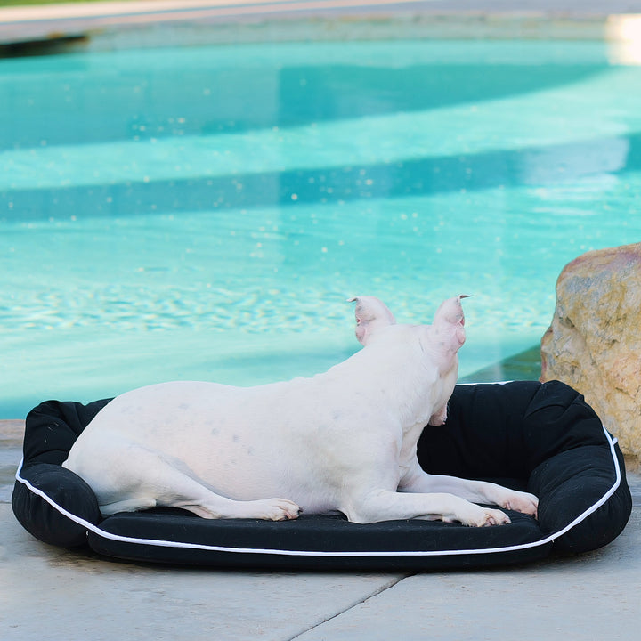 Animals Matter Orthopedic Outdoor Dog Bed, Color Black.