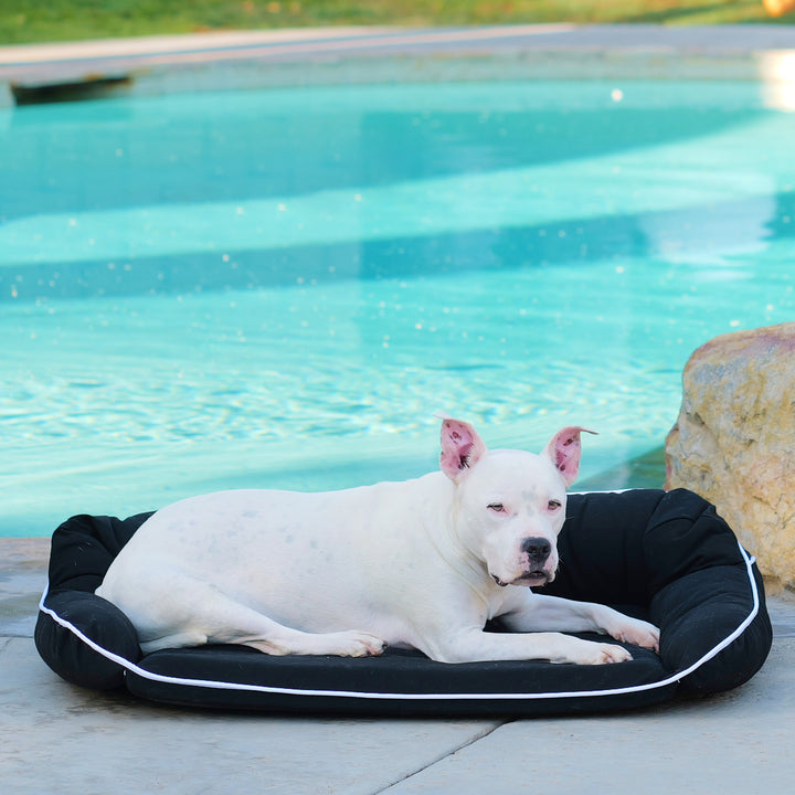 Animals Matter Orthopedic Outdoor Dog Bed, Black.