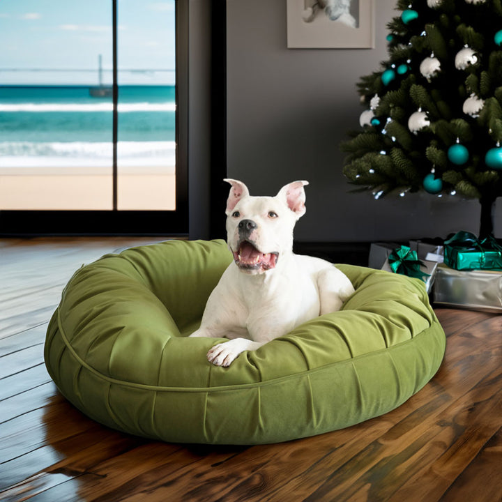 Animals Matter New Ali Donut Luxury Dog Bed in Celery