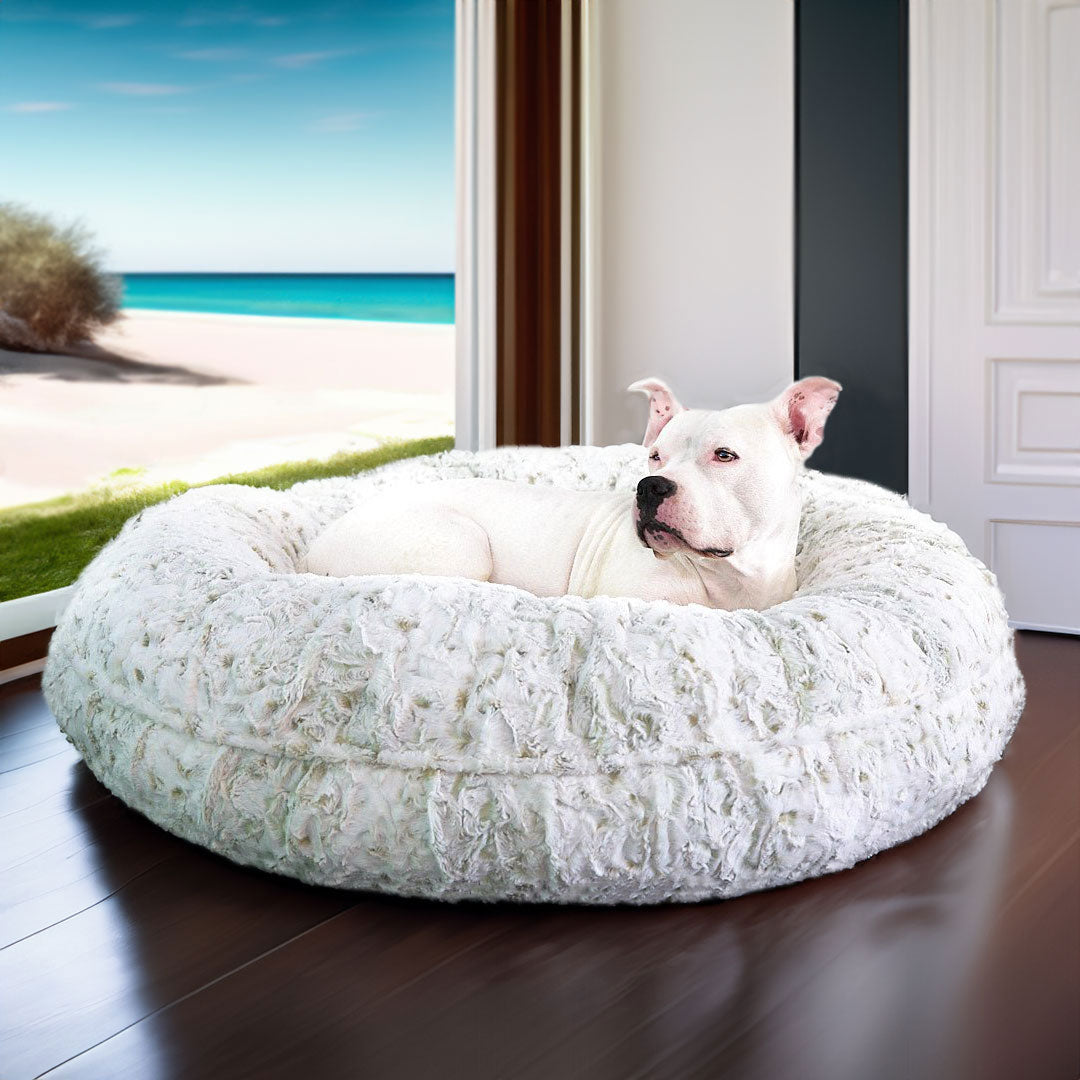 Hudson laying on the LA Dog Company® Pearl Leopard Donut - Animals Matter, Inc.