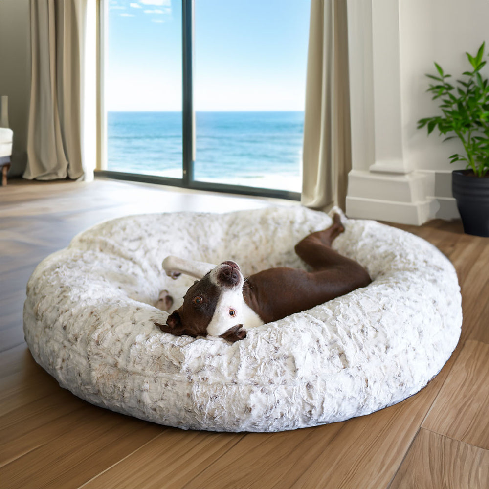 Ruby Laying in her New Animals Matter pearl leopard donut luxury dog bed