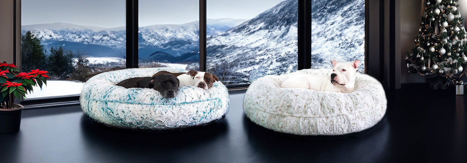 A picture of Hudson , Pearl, and Ruby Relaxing on the LA Dog Company® Pearl Leopard Donuts from animals matter inc