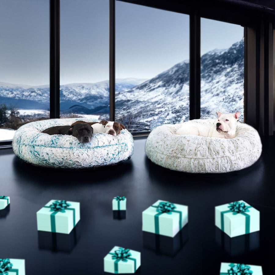 A picture of Hudson , Pearl, and Ruby Relaxing on the LA Dog Company® Pearl Leopard Donuts from animals matter inc