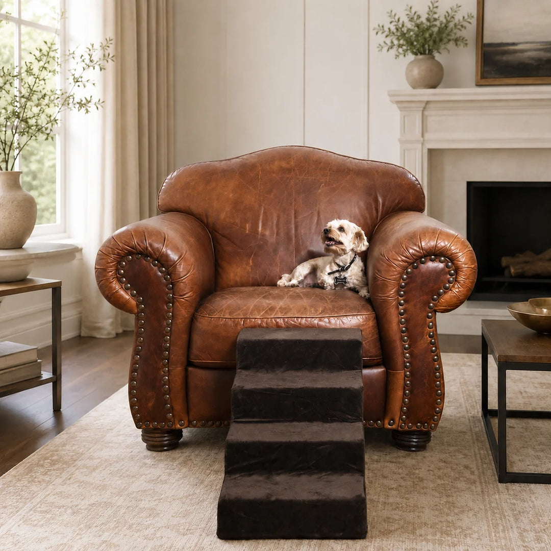 Animals Matter Pup Stairs Espresso luxury dog stairs in a classic living room, featuring a small Companion on a leather chair beside espresso pet steps.