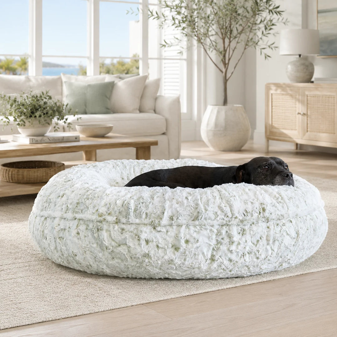Animals Matter L.A. Dog Company® Celery Leopard Donut luxury faux fur dog bed in a coastal living room, featuring a black Companion nestled in plush celery leopard faux fur.