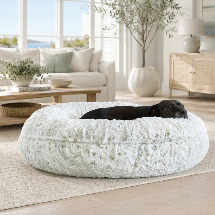 Animals Matter L.A. Dog Company® Celery Leopard Donut luxury faux fur dog bed in a coastal living room, featuring a black Companion nestled in plush celery leopard faux fur.