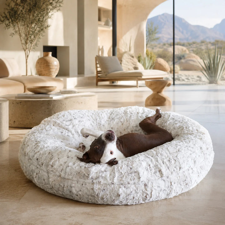 Animals Matter L.A. Dog Company® Pearl Leopard Donut luxury faux fur dog bed in a desert modern home, featuring a brown-and-white Companion playfully resting in plush faux fur.