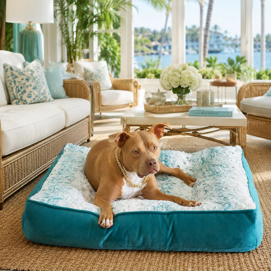Animals Matter LA Dog Company® Pearl Leopard® Ortho Square™ Teal Leopard luxury orthopedic dog bed in a coastal room with a tan Companion lounging.