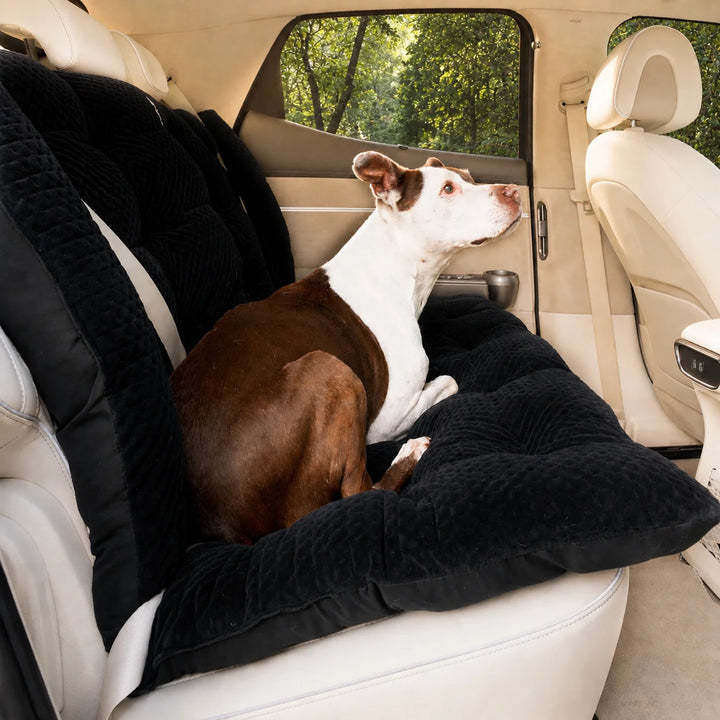 Animals Matter LA Dog Company Turbo Travel Bench in black, featuring a Companion sitting on a quilted dog car seat cover for comfortable travel.